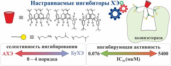 Ветвящиеся молекулы помогут бороться с болезнью Альцгеймера 2-2.jpg (jpg, 38 Kб)