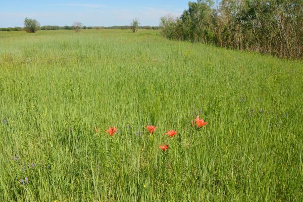 Предложены решения для борьбы с паводками в Якутске 1-1.jpg (jpg, 75 Kб)