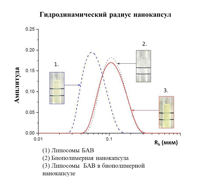 2-3 (jpg, 123 Kб)