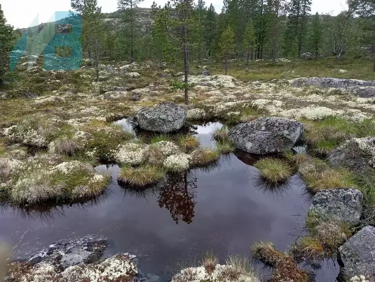 Карелия голубые глаза озер